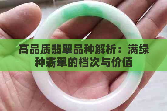 高品质翡翠品种解析：满绿种翡翠的档次与价值