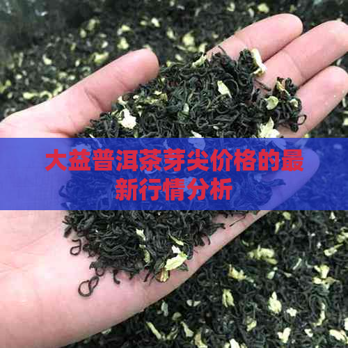 大益普洱茶芽尖价格的最新行情分析