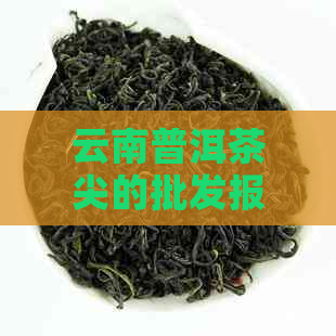 云南普洱茶尖的批发报价与厂家信息