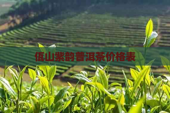 佤山紫韵普洱茶价格表