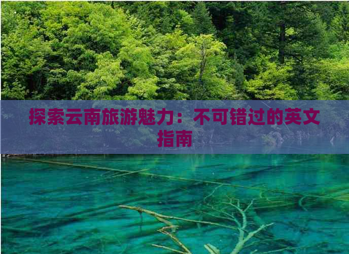 探索云南旅游魅力：不可错过的英文指南