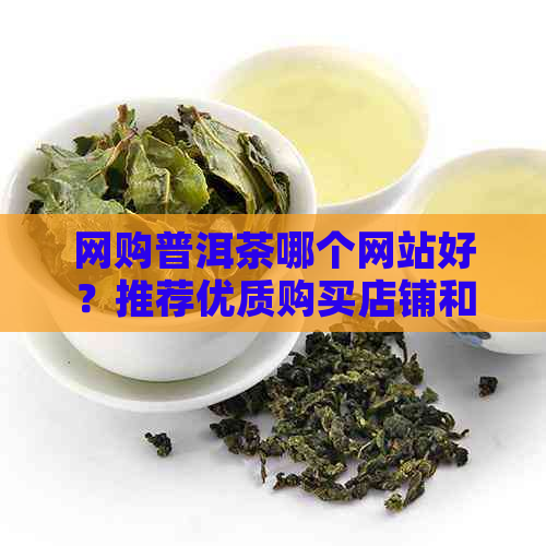 网购普洱茶哪个网站好？推荐优质购买店铺和选购指南