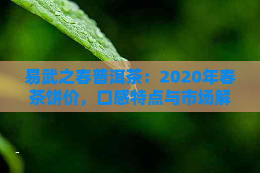 易武之春普洱茶：2020年春茶饼价，口感特点与市场解析