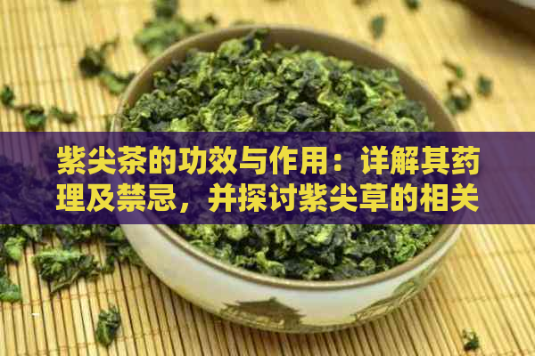 紫尖茶的功效与作用：详解其药理及禁忌，并探讨紫尖草的相关功效