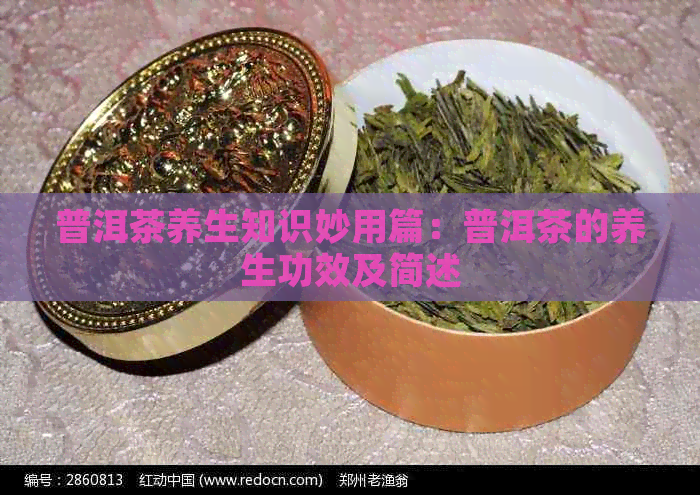 普洱茶养生知识妙用篇：普洱茶的养生功效及简述