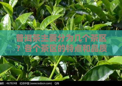 普洱茶主要分为几个茶区？各个茶区的特点和品质如何？