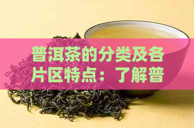 普洱茶的分类及各片区特点：了解普洱茶的基本知识，选择适合自己的茶叶。