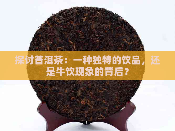 探讨普洱茶：一种独特的饮品，还是牛饮现象的背后？