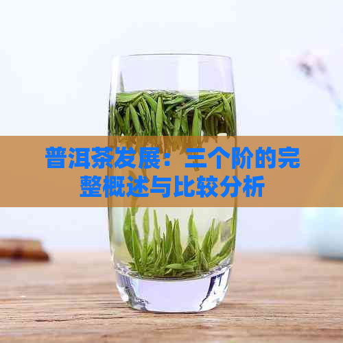 普洱茶发展：三个阶的完整概述与比较分析