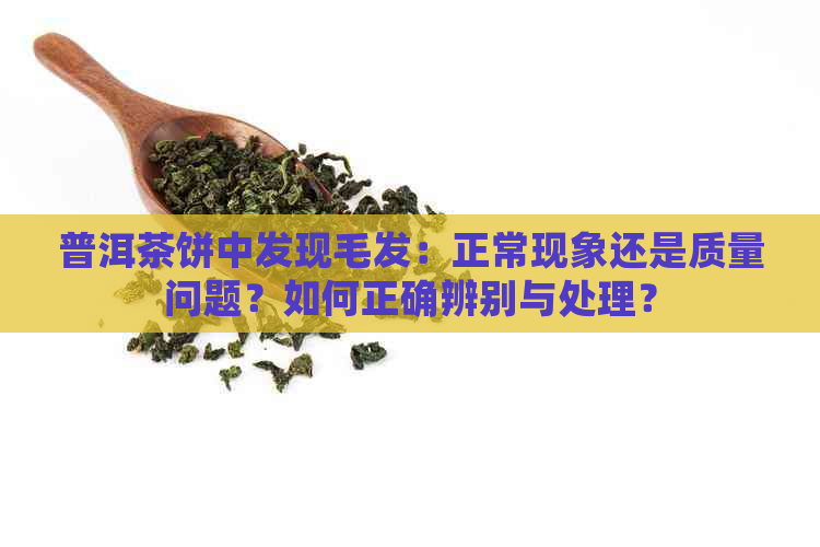 普洱茶饼中发现毛发：正常现象还是质量问题？如何正确辨别与处理？