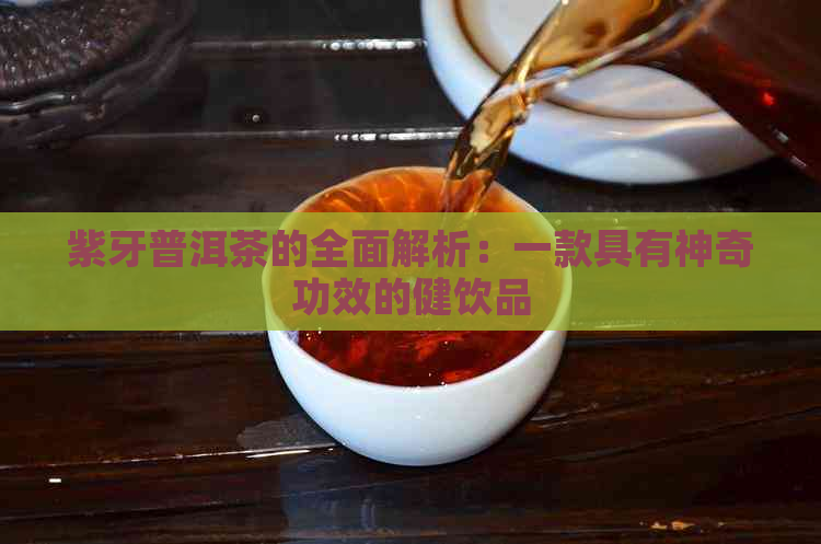 紫牙普洱茶的全面解析：一款具有神奇功效的健饮品