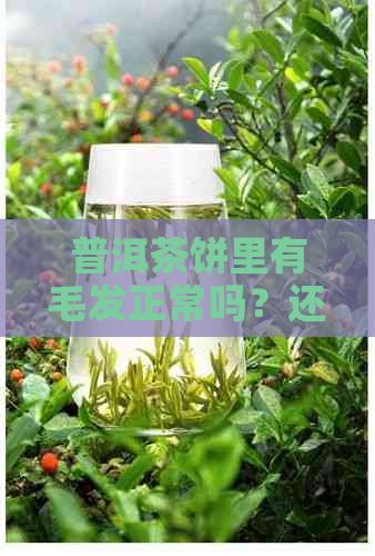 普洱茶饼里有毛发正常吗？还能喝吗？