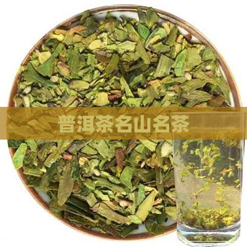 普洱茶名山名茶