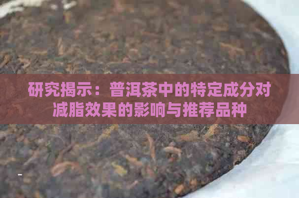 研究揭示：普洱茶中的特定成分对减脂效果的影响与推荐品种