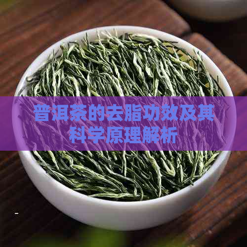 普洱茶的去脂功效及其科学原理解析