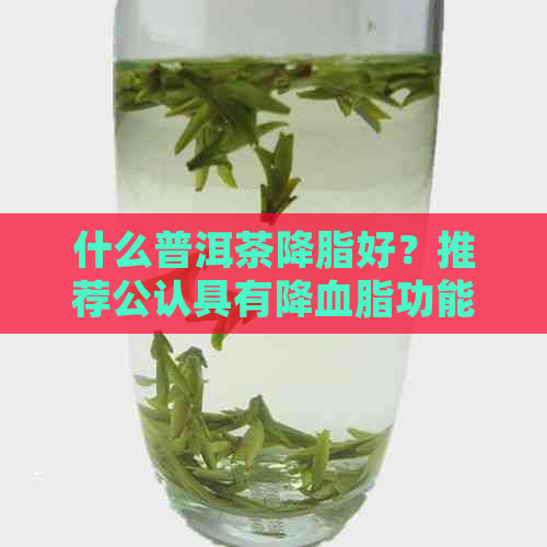 什么普洱茶降脂好？推荐公认具有降血脂功能的普洱茶种类。