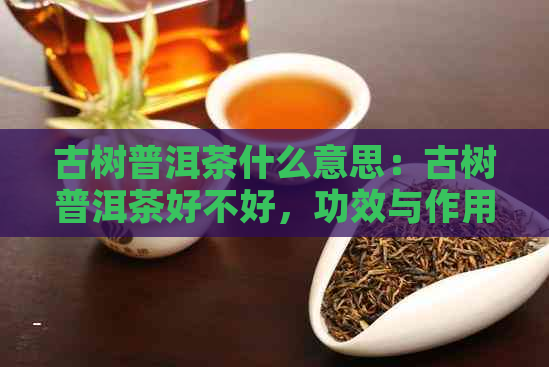 古树普洱茶什么意思：古树普洱茶好不好，功效与作用，口感，区别。