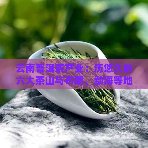 云南普洱茶产业：历悠久的六大茶山与布朗、勐海等地的独特口感