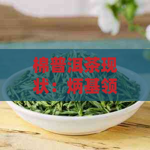 棉普洱茶现状：炳基领导云南普洱茶集团，老普洱茶吧传承经典