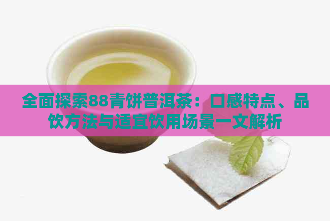 全面探索88青饼普洱茶：口感特点、品饮方法与适宜饮用场景一文解析