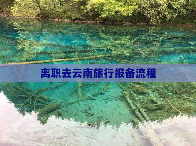 离职去云南旅行报备流程