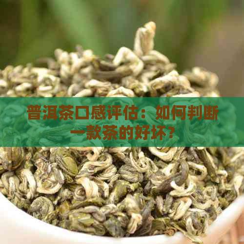 普洱茶口感评估：如何判断一款茶的好坏？