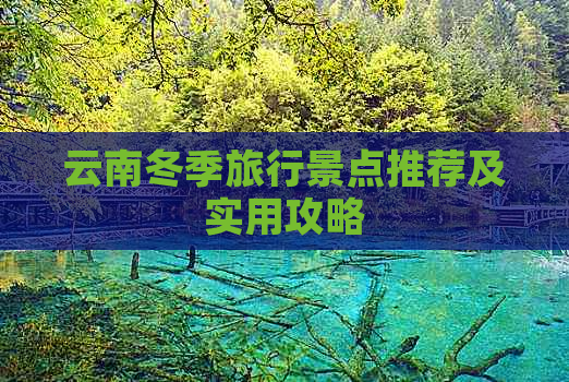 云南冬季旅行景点推荐及实用攻略