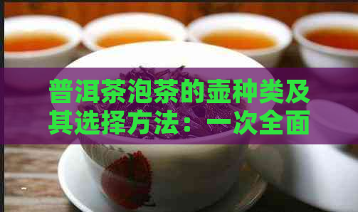 普洱茶泡茶的壶种类及其选择方法：一次全面了解