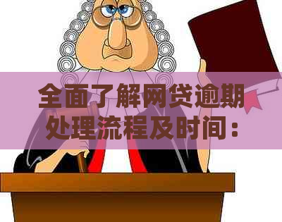 全面了解网贷逾期处理流程及时间：如何应对逾期，加速还款进度与解决方法