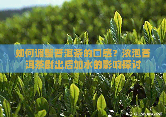 如何调整普洱茶的口感？浓泡普洱茶倒出后加水的影响探讨