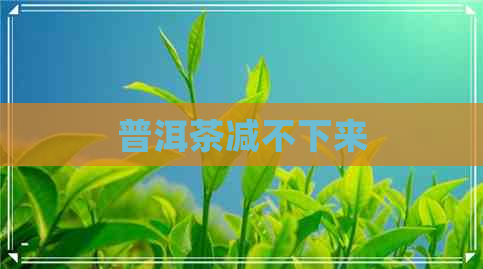 普洱茶减不下来