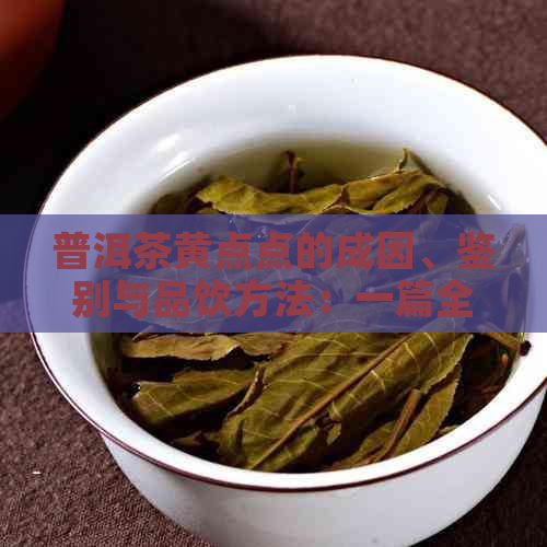 普洱茶黄点点的成因、鉴别与品饮方法：一篇全面指南