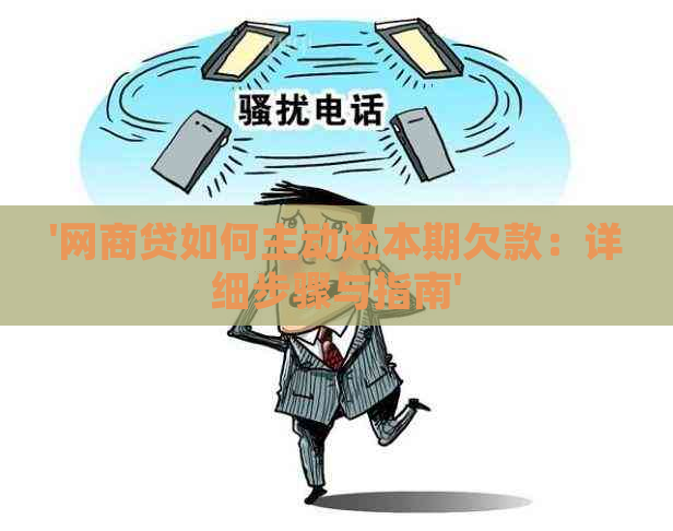 '网商贷如何主动还本期欠款：详细步骤与指南'