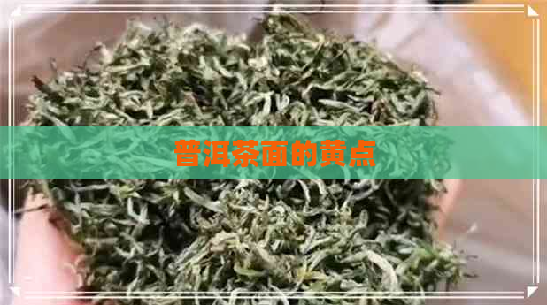 普洱茶面的黄点