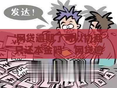 '网贷逾期了可以协商只还本金吗' - 网贷逾期还款期及本金协商指南