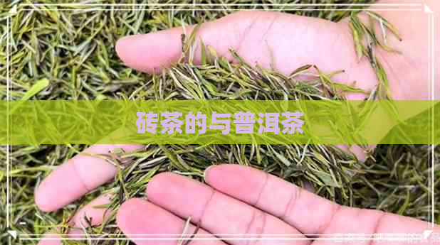 砖茶的与普洱茶