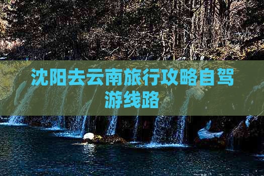 沈阳去云南旅行攻略自驾游线路