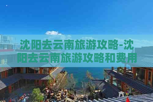 沈阳去云南旅游攻略-沈阳去云南旅游攻略和费用是多少