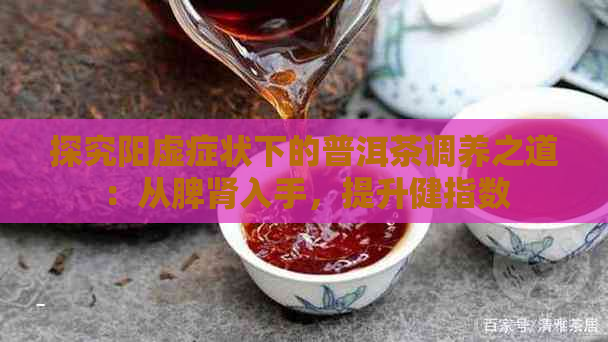 探究阳虚症状下的普洱茶调养之道：从脾肾入手，提升健指数