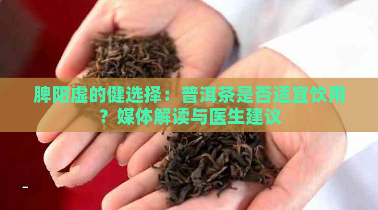 脾阳虚的健选择：普洱茶是否适宜饮用？媒体解读与医生建议