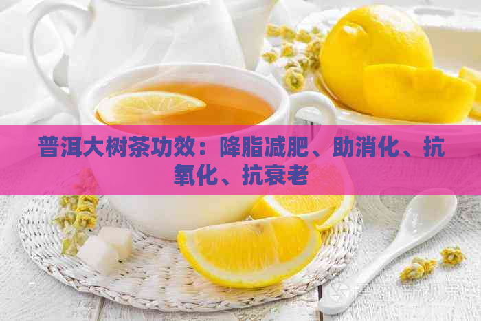 普洱大树茶功效：降脂减肥、助消化、抗氧化、抗衰老