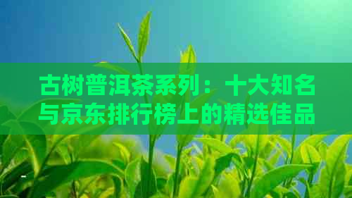 古树普洱茶系列：十大知名与京东排行榜上的精选佳品