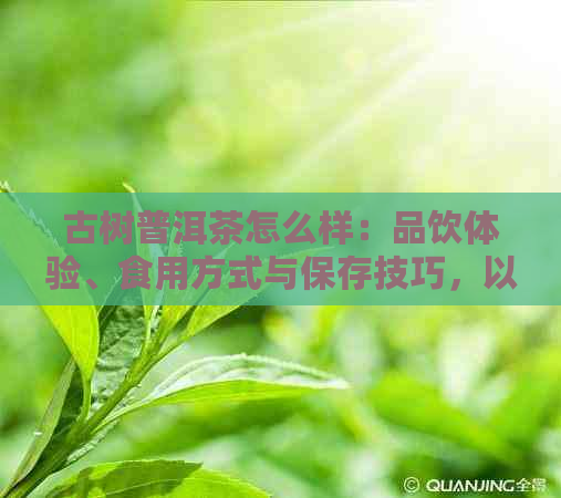 古树普洱茶怎么样：品饮体验、食用方式与保存技巧，以及其功效全解析