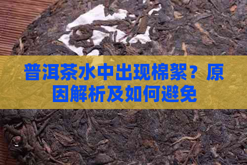 普洱茶水中出现棉絮？原因解析及如何避免