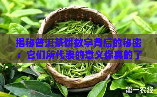 揭秘普洱茶饼数字背后的秘密：它们所代表的意义你真的了解吗？