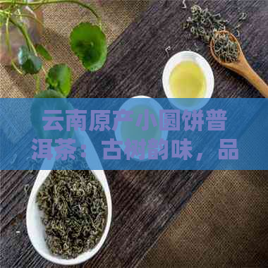 云南原产小圆饼普洱茶：古树韵味，品质之选