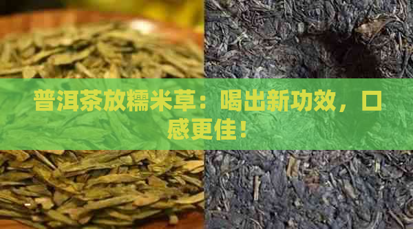 普洱茶放糯米草：喝出新功效，口感更佳！