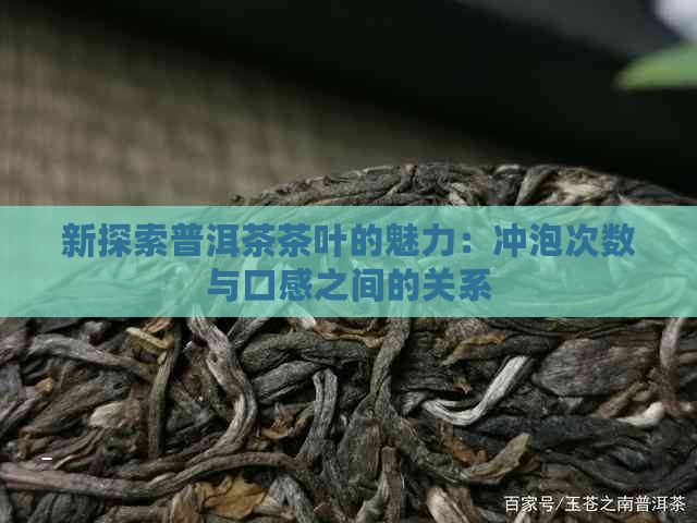 新探索普洱茶茶叶的魅力：冲泡次数与口感之间的关系