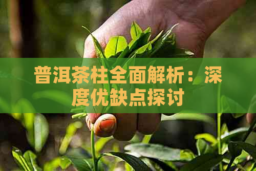 普洱茶柱全面解析：深度优缺点探讨