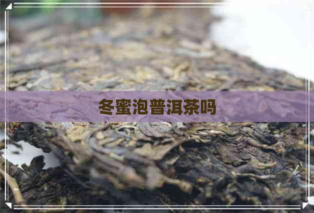 冬蜜泡普洱茶吗